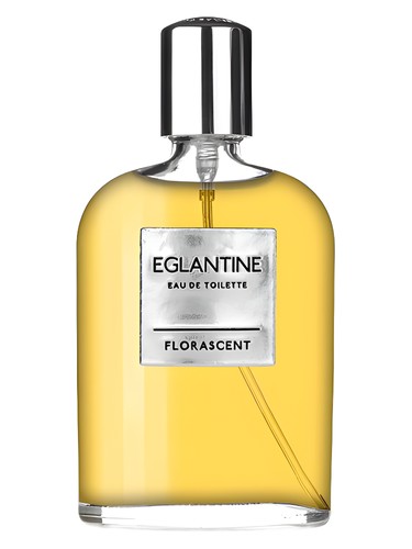 Eglantine