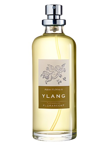 Ylang