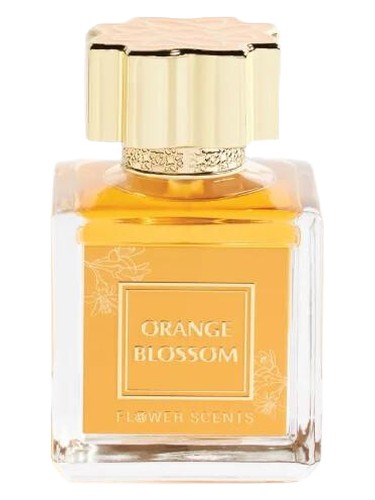 Orange Blossom