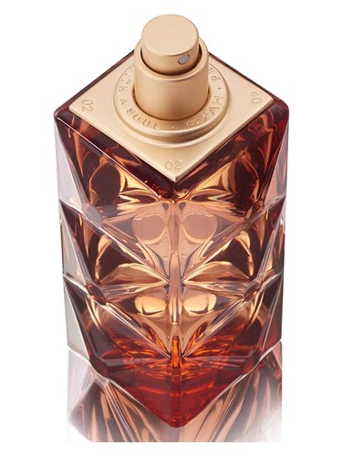 Memoires d'une Palmeraie 08