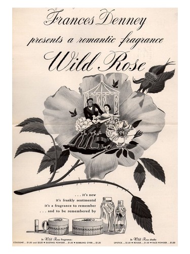 Wild Rose