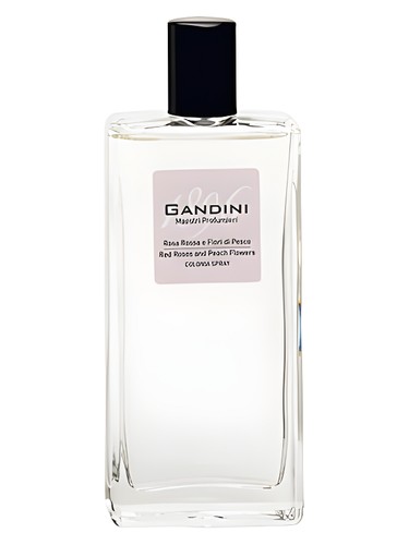 Red Rose and Peach Blossom