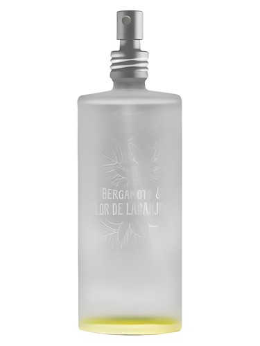 Bergamota & Flor de Laranjeira