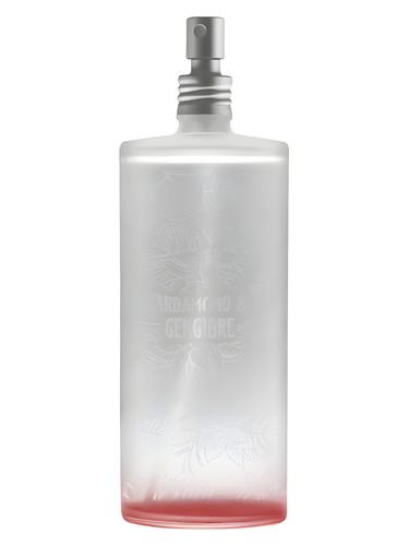 Cardamomo & Gengibre