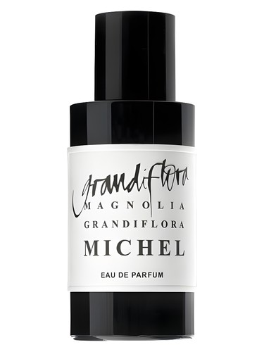 Magnolia Grandiflora Michel