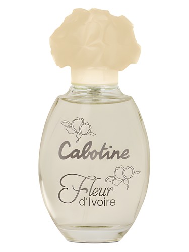 Cabotine Fleur d'Ivoire