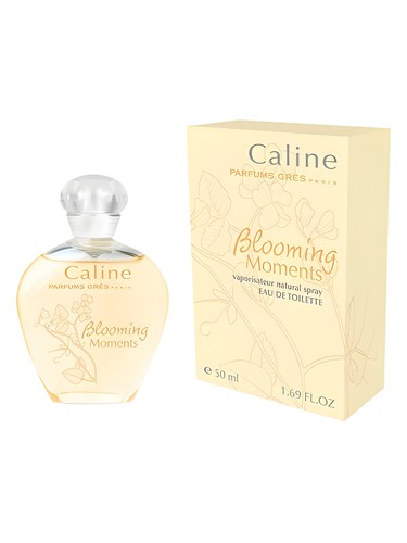 Caline Blooming Moments