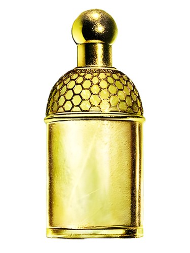 Aqua Allegoria Laurier-Reglisse