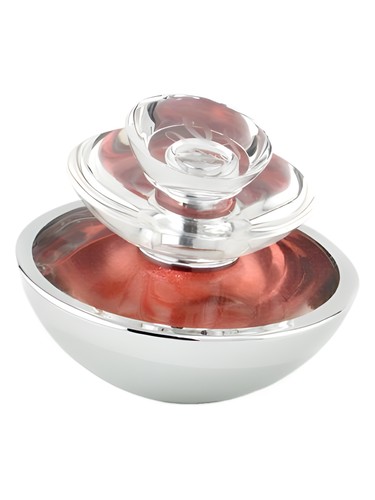 Insolence Shimmering Edition