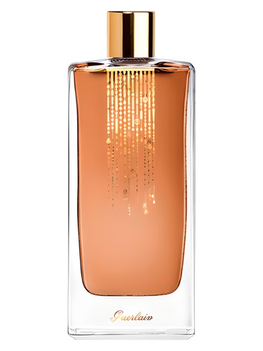 Songe d'un Bois d'Ete