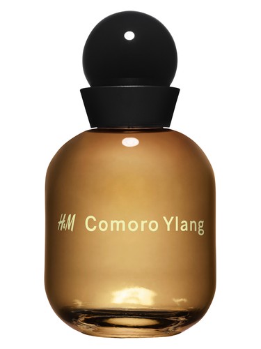 H&M Comoro Ylang