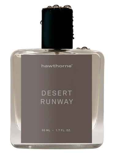 Desert Runway