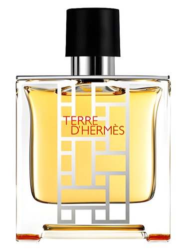 Terre d'Hermes flacon H 2013