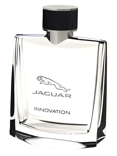 Jaguar Innovation