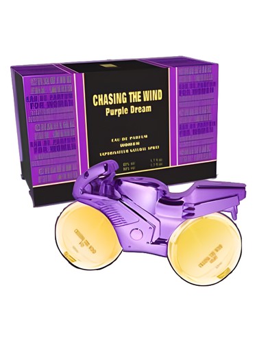 Chasing the Wind Purple Dream Night