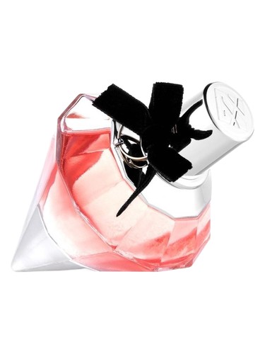 Love Never Dies Night Dream