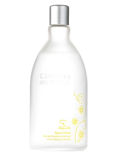 Agua Citrus Cha de Hibisco e Laranja