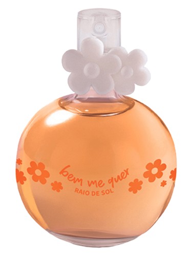 Bem-Me-Quer Raio de Sol