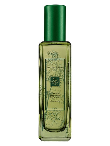 Carrot Blossom & Fennel