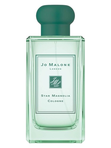 Star Magnolia Cologne (2019)