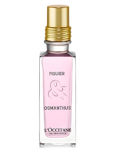 Figuier & Osmanthus