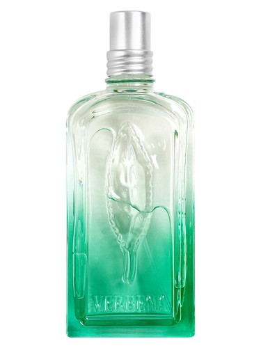 Verveine Fleur de Carotte