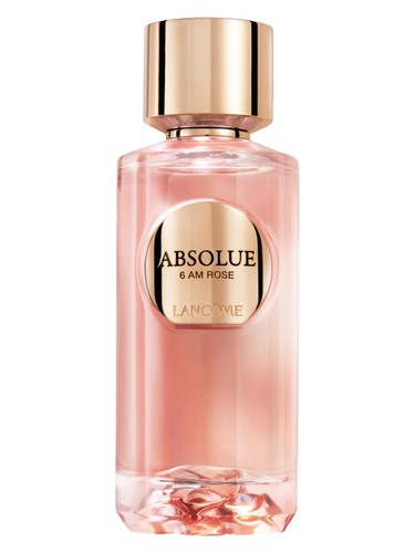 Absolue 6AM Rose