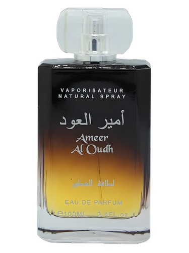 Ameer Al Oudh