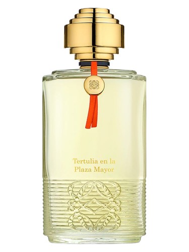 Tertulia en la Plaza Mayor