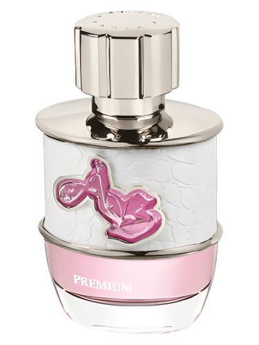 Ab Spirit Millionaire Premium