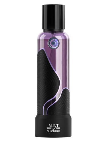 Fashion Intervention