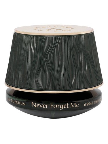 Never Forget Me