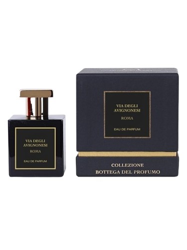 Via degli Avignonesi Roma