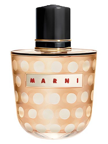 Marni Spice