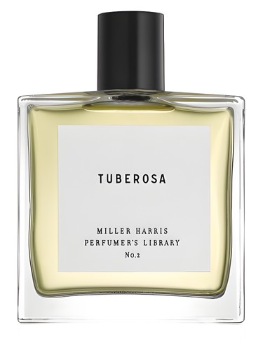Tuberosa