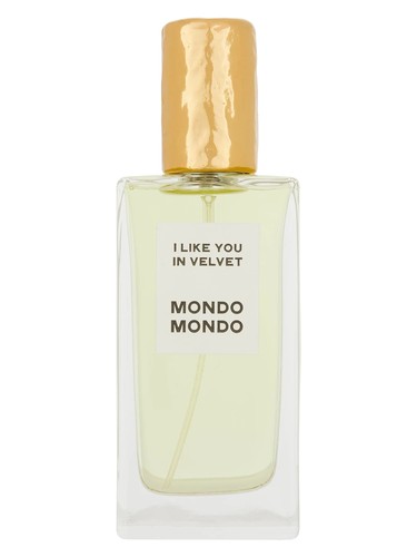 I Like You In Velvet