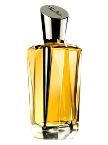 Mirror Mirror Collection-A Travers Le Miroir