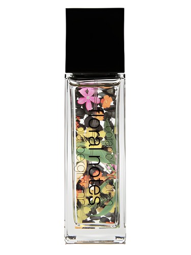 Japanese Quince & Wild Osmanthus