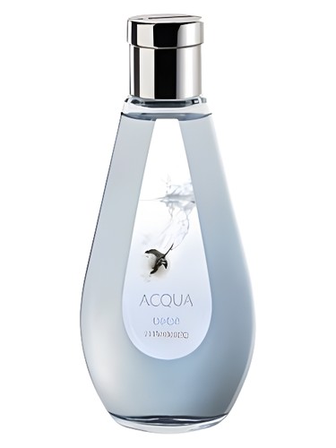 Acqua Bebe