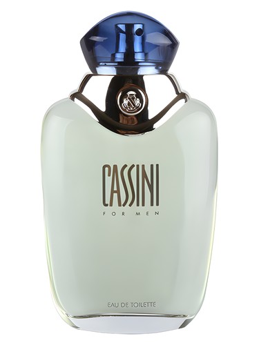 Cassini for Men