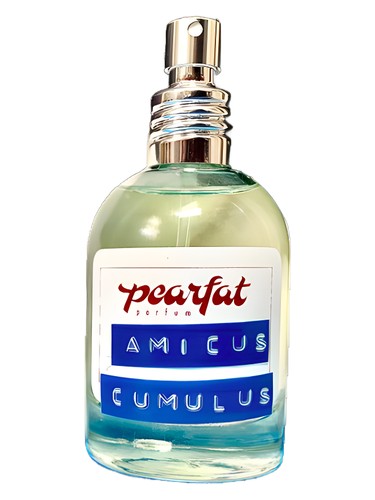 Amicus Cumulus