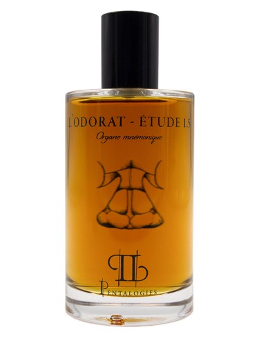 Etude 1.5: L'Odorat
