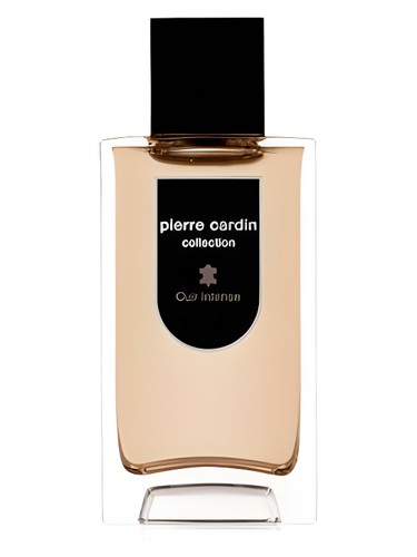 Pierre Cardin Collection Cuir Intense