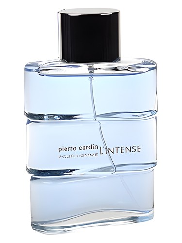 Pierre Cardin pour Homme l'Intense