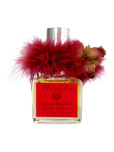 Tiptoeing Through Chambers of the Moon