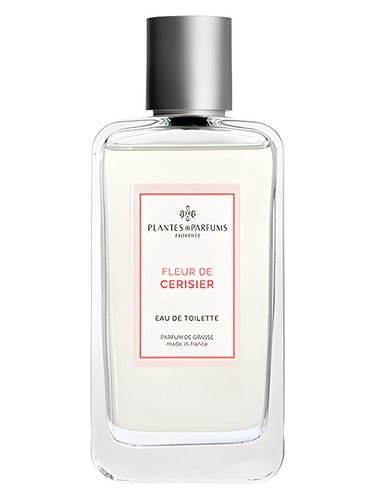 Fleur de Cerisier