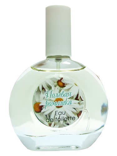 Wild Daisy Полевая Ромашка