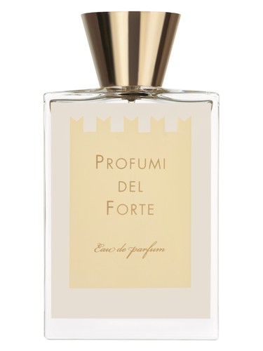 Ambra Mediterranea (Versilia Vintage Ambra Mediterranea)