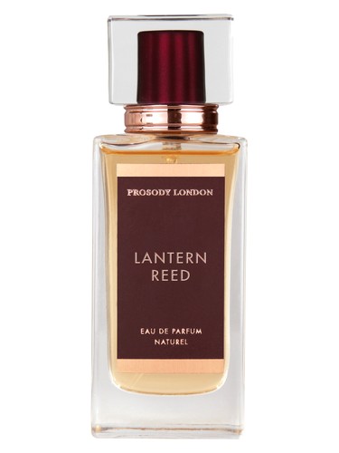 Lantern Reed