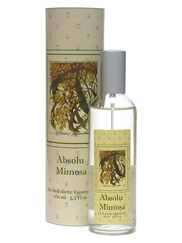 Absolu Mimosa